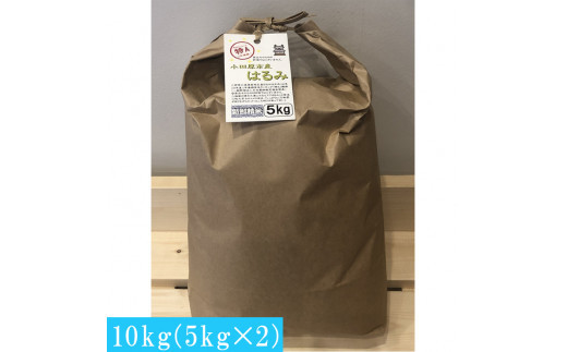 志村屋米穀店 令和7年産新米小田原市産　はるみ　10kg（5kgｘ2）＜出荷時期：10月中旬より順次出荷開始＞