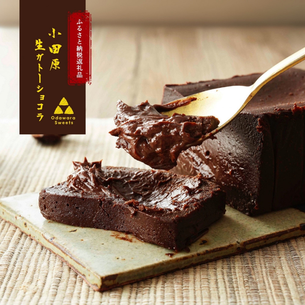 極上の口溶け。幸せの生ガトーショコラ 450g 【 高級 濃厚  極上スイーツ グルテンフリー チョコ ショコラテリーヌ 高品質クーベルチュールチョコレート使用 一流シェフ 神奈川県 小田原市 】