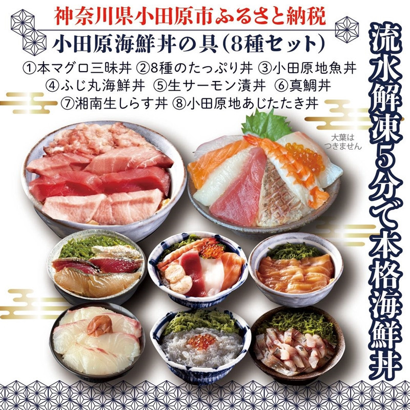 【高級食材本マグロ、曽我の梅干し、小田原地あじ、小田原港直送地魚丼、大磯港直送、湘南生しらす】小田原海鮮丼の具（8種セット）【本まぐろ丼 小田原地魚丼 小田原地あじたたき丼 国産活〆真鯛入り酒仕込み 神奈川県 小田原市 】