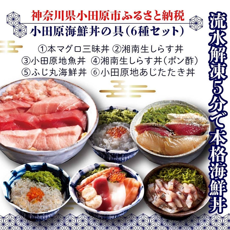 小田原地魚＆本まぐろ海鮮丼の具（6種セット）