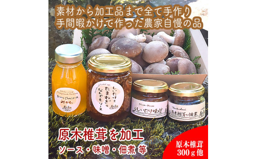 原木生椎茸と椎茸のソース&味噌&佃煮、椎茸の廃ホダを肥料に育ったみかんジャムのセット【家庭用 自宅用 贈答品 贈答用 ギフト お取り寄せ お中元 お歳暮 贈り物 お祝い 神奈川県 小田原市 】