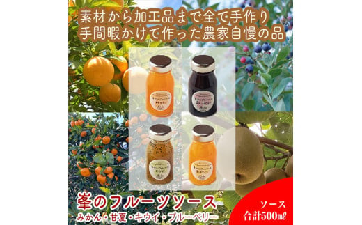 手づくりジャムソース 4本セット 手作りみかん キウイ あまなつ ブルーベリー 125ml 詰め合わせ ギフト 【 家庭用 自宅用 贈答品 贈答用 ギフト お取り寄せ お中元 お歳暮 贈り物 お祝い 神奈川県 小田原市 】