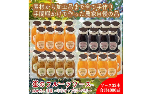 スイスで加工品を学んだ農家が作った手づくりジャムソース 32本セット 手作りみかん キウイ あまなつ ブルーベリー他 125ml 詰め合わせ ギフト【 家庭用 自宅用 贈答品 贈答用 ギフト お取り寄せ お中元 お歳暮 贈り物 お祝い 神奈川県 小田原市 】