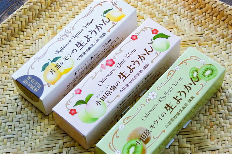 【さっぱりとした現代感覚のフルーツ生ようかんセット】（片浦レモン、小田原キウイ、ジンジャー入り小田原梅 各1本）創業昭和10年 小田原 伊勢屋【 和菓子店 ようかん 神奈川県指定銘菓 神奈川県 小田原市 】