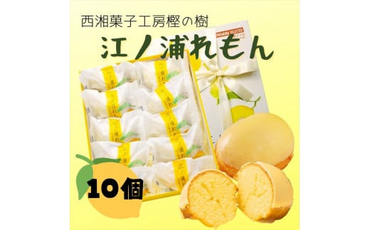 西湘菓子工房樫の樹　江ノ浦れもん10個入りギフト 【 お菓子 スイーツ 神奈川県 小田原市 】