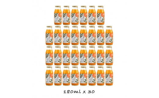小田原産江之浦みかん１００％ストレートジュース１８０ml３０本