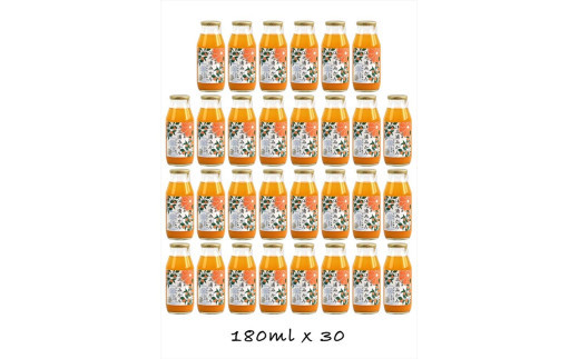 【定期便 （2カ月ごと全6回）】小田原産江之浦みかん１００％ストレートジュース１８０ml３０本