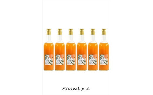 【定期便 9回】小田原産江之浦みかん１００％ストレートジュース５００ml６本