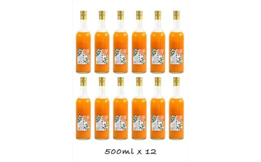 【定期便 6回】小田原産江之浦みかん１００％ストレートジュース５００ml１２本