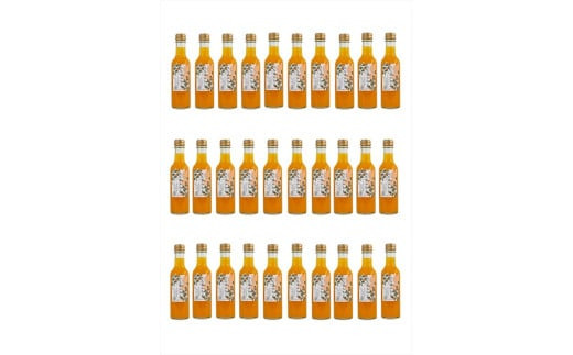 【定期便（2カ月ごと全4回）】小田原産江之浦みかんスパークリング果汁入り飲料果汁５０％２００ml３０本