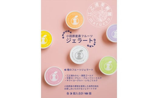 小田原産江之浦ジェラート６種（みかん、湘南ゴールド、ブルーベリーミルク、いちごミルク、キウイヨーグルト、甘夏ヨーグルト）120mlカップ各３個合計１８個