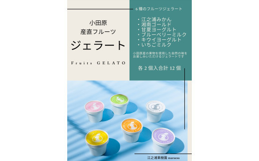 【定期便 6回】 小田原産江之浦ジェラート６種（みかん、湘南ゴールド、ブルーベリーミルク、いちごミルク、キウイヨーグルト、甘夏ヨーグルト）120mlカップ各２個合計１２個