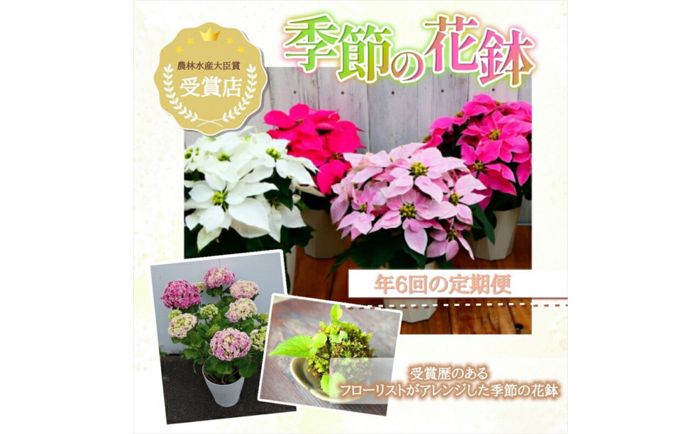 【定期便年6回　季節の花鉢】農林水産大臣賞を受賞したフローリストがアレンジする 季節を知らせる花鉢【 花 お花 神奈川県 小田原市 】