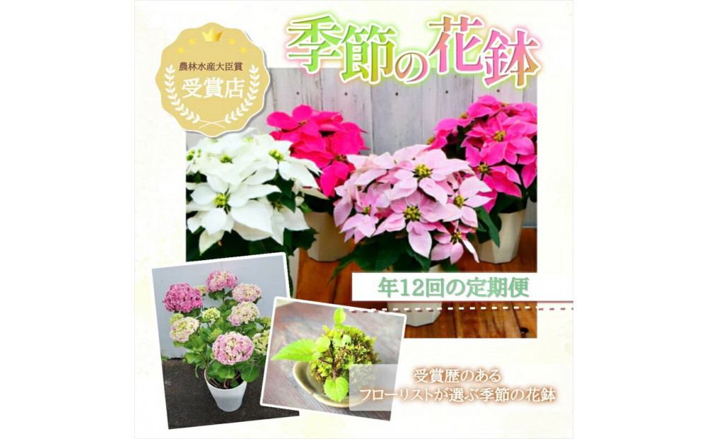 【定期便年12回　季節の花鉢】農林水産大臣賞を受賞したフローリストがアレンジする 季節を知らせる花鉢【 花 お花 神奈川県 小田原市 】