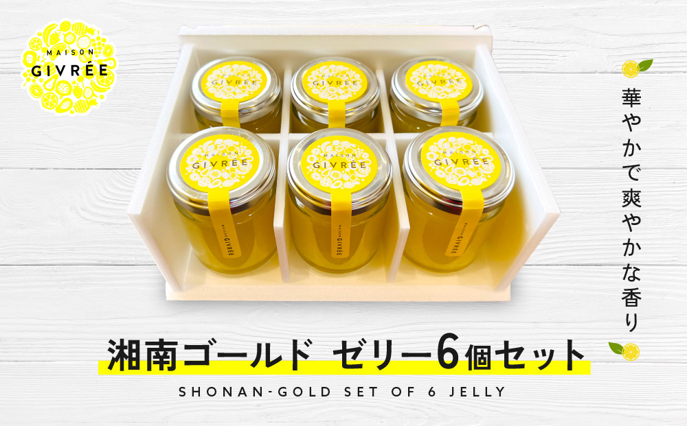 湘南ゴールドゼリー6個セット