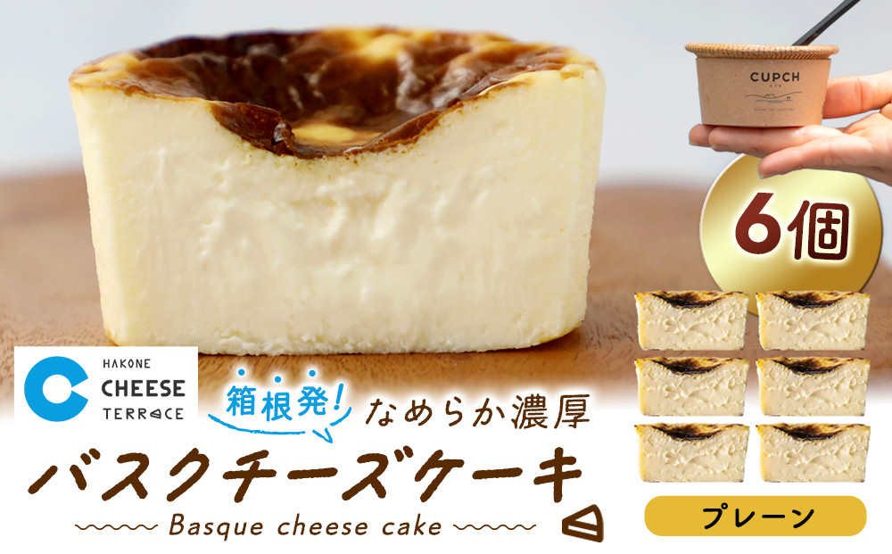 箱根発！なめらか濃厚バスクチーズケーキ 箱根チーズテラス・カプチ 【プレーン6個セット】