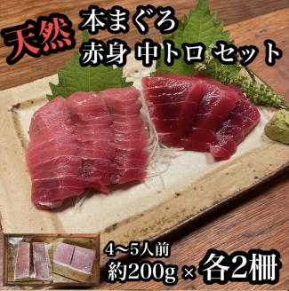 貴重な天然本鮪 赤身 約200g 中トロ 約200g 各2柵ずつ 4〜5人前●赤身はマグロの中心部天身を使用!中とろの脂はくどくない上質な脂![赤身 天身 惣菜 海鮮][神奈川県小田原市早川]