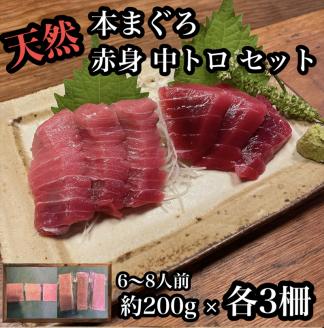 貴重な天然本鮪 赤身 約200g 中トロ 約200g 各3柵ずつ 6〜8人前●赤身はマグロの中心部天身を使用!中とろの脂はくどくない上質な脂![赤身 天身 惣菜 海鮮][神奈川県小田原市早川]