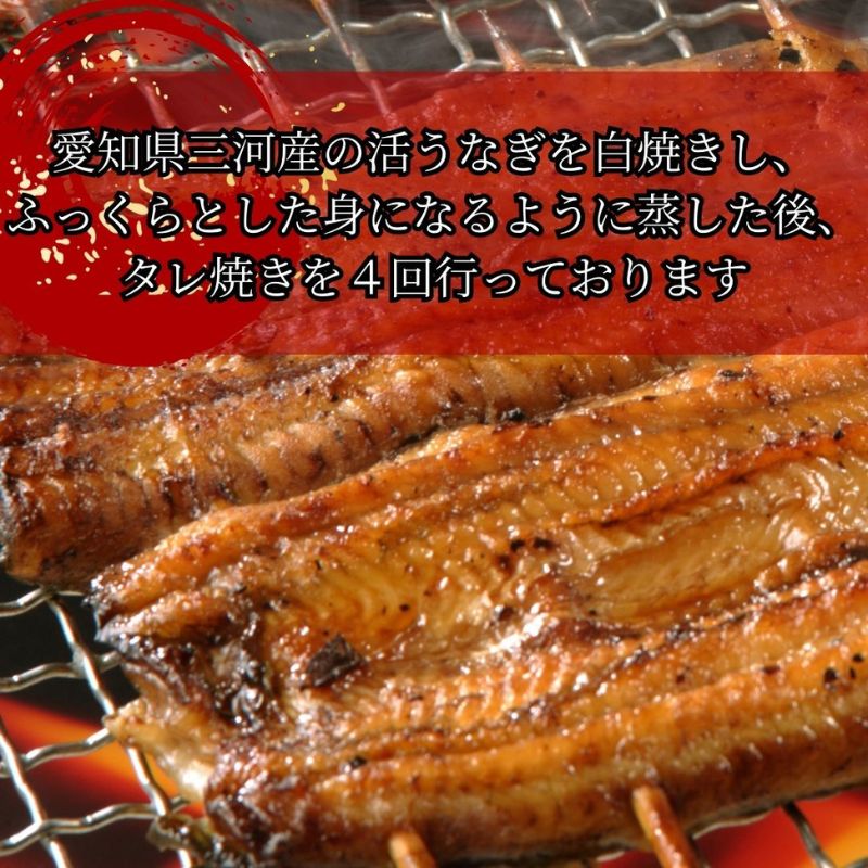 【三河産 鰻】うなぎ蒲焼・白焼きセット2尾（活魚1本200g×2