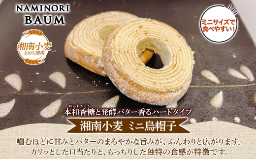 ミニサイズ バウムクーヘン なみのりバウム 10個セット 食べきりサイズ まんまるソフト デコボコ烏帽子 湘南小麦 しっとり ふんわり お菓子 洋菓子 スイーツ 詰め合わせ ギフト 神奈川県 茅ヶ崎市 レプラコーン。