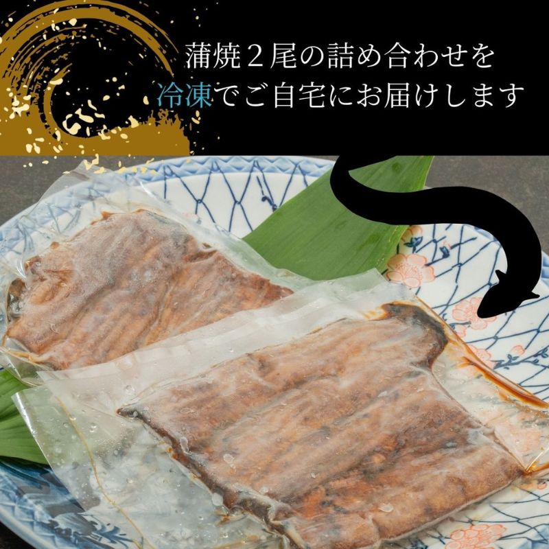 【三河産 鰻】うなぎ蒲焼セット2尾（活魚1本200g×2） 国産活うなぎ 脂 安心安全 特別な日 ふっくらとした身