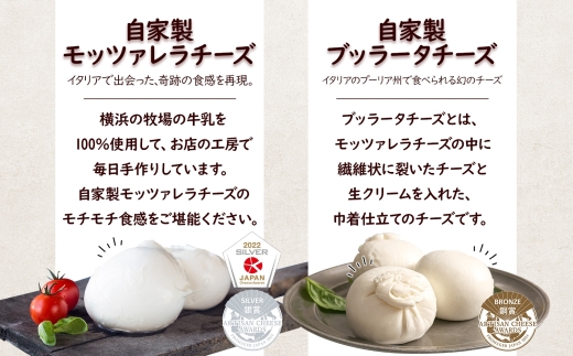 【ふるさと納税】6ヶ月定期便 フレッシュチーズ 2種 オリーブオイル セット モッツァレラ 100g 2個 ブッラータ 160g 1個 オリーブオイル 100ml チーズ おつまみ 送料無料 神奈川県 茅ヶ崎市