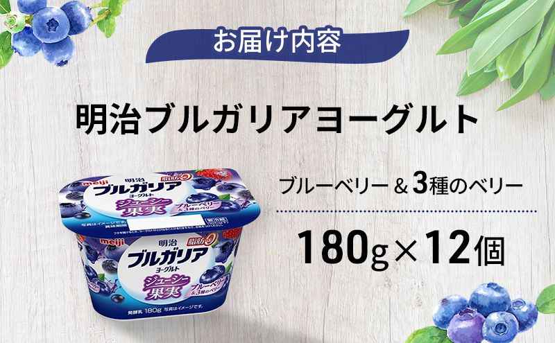 ヨーグルト 明治ブルガリアヨーグルト脂肪0 ジューシー果実 ブルーベリー&3種のベリー（180g×12個） 乳製品 乳酸菌 脂肪0 果汁 果肉 ブルーベリー ベリー 食べ切り 茅ヶ崎市 神奈川県