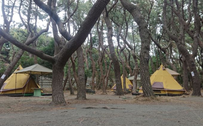 ちがさき柳島キャンプ場 セットアップテントで森林浴キャ