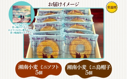 ミニサイズ バウムクーヘン なみのりバウム 10個セット 食べきりサイズ まんまるソフト デコボコ烏帽子 湘南小麦 しっとり ふんわり お菓子 洋菓子 スイーツ 詰め合わせ ギフト 神奈川県 茅ヶ崎市 レプラコーン。