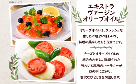 【ふるさと納税】9ヶ月定期便 フレッシュチーズ 2種 オリーブオイル セット モッツァレラ 100g 2個 ブッラータ 160g 1個 オリーブオイル 100ml チーズ おつまみ 送料無料 神奈川県 茅ヶ崎市