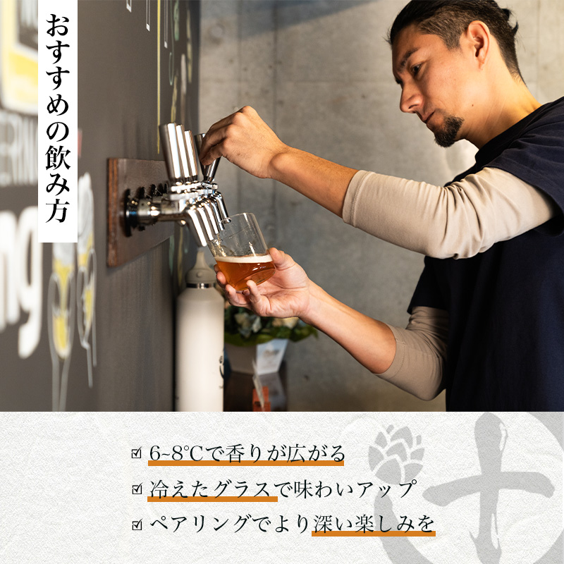 Tsuji Brewingオリジナルクラフトビール6本セット お酒 地ビール 瓶ビール 飲み比べ ビール飲み比べ アルコール飲料 家飲み 晩酌 バーベキュー BBQ