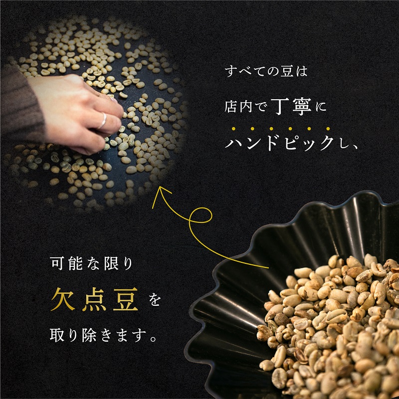 定期便 隔月 4回【CRUISE TOWN COFFEE ROASTERS】 深煎りドリップバッグセット（12g×16） 飲み物 飲料 ドリンク コーヒーブレイク ドリップコーヒー 手軽