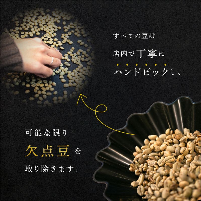 定期便 隔月 2回【CRUISE TOWN COFFEE ROASTERS】中～中浅煎りドリップバッグセット（12g×16） 飲み物 飲料 ドリンク コーヒーブレイク ドリップコーヒー 手軽