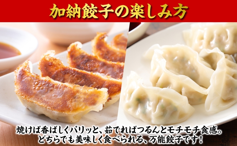 【数量限定】訳あり 餃子 冷凍生餃子 150個 生餃子 冷凍餃子 ギョーザ おかず 総菜 おつまみ つまみ ごはんのお供 中華 家庭用 お取り寄せ まとめ買い 大容量 冷凍食品 焼き餃子 冷凍 神奈川 神奈川県 茅ヶ崎市