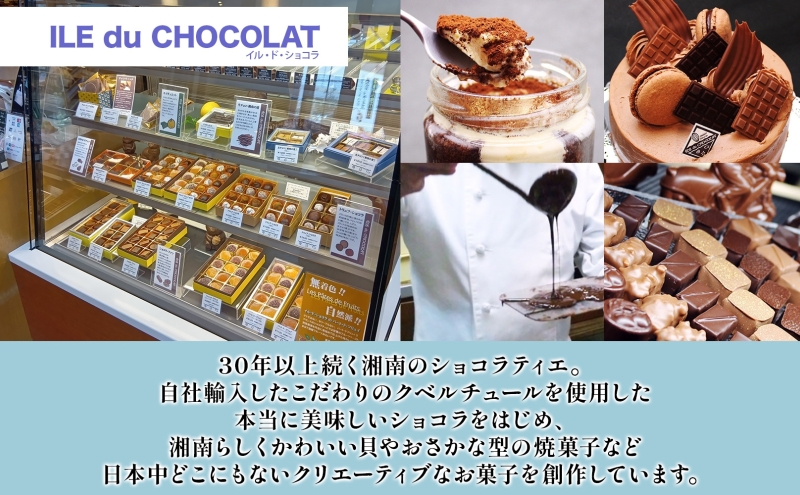 生シェルパイ 8個セット パイ バニラ チョコ 完熟 いちご プラリネ チョコレート ショコラ 生クリーム クーベルチュール シャラントポワトー バター 創作 湘南 贈り物 ギフト 箱詰め 送料無料 イル・ド・ショコラ 茅ヶ崎市 神奈川県