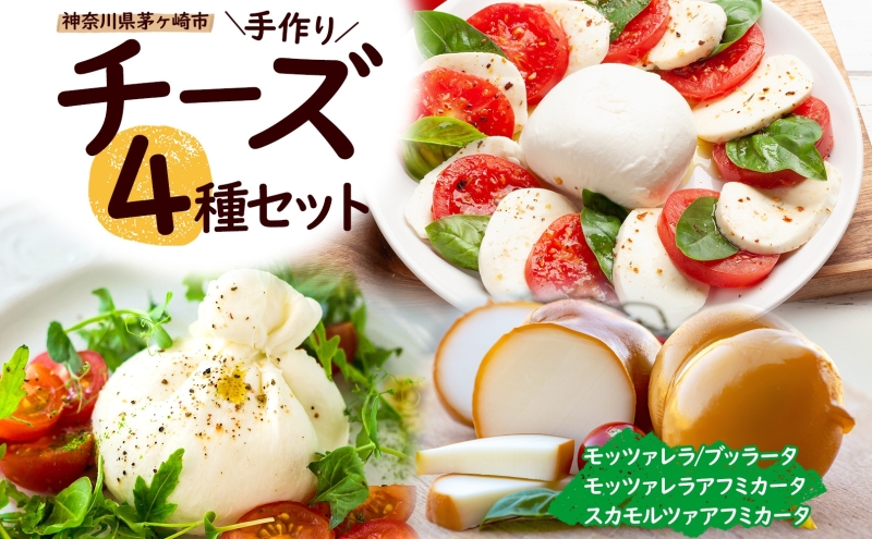 チーズ 4種 詰め合わせ 各1個 湘南 モッツァレラ チーズ  ブラッターチーズ スカモルツァアフミカータ 神奈川県 茅ケ崎市 Osteria e Bottega S 加工食品 乳製品 牛乳 手作業 ミルク 銀賞 幻のチーズ スモーク 塩漬け 美味しい  おつまみ ピザ