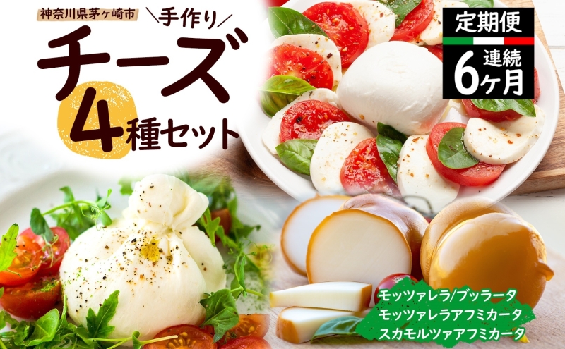 6ヶ月定期便 チーズ 4種 詰め合わせ 各1個 Osteria e Bottega S モッツァレラ ブラッターチーズ スカモルツァアフミカータ 神奈川県 茅ケ崎市 加工食品 乳製品 牛乳 手作業 ミルク 銀賞 幻のチーズ スモーク 塩漬け 美味しい  おつまみ ピザ