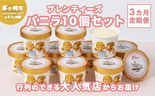 3ヵ月定期便 プレンティーズ バニラ 10個セット アイス アイスクリーム 氷菓 バニラアイス バニラ味 バニラ フレーバー バニラビーンズ スタンダードバニラ ローカルアイス ご当地グルメ お取り寄せ 送料無料 神奈川県 茅ヶ崎市