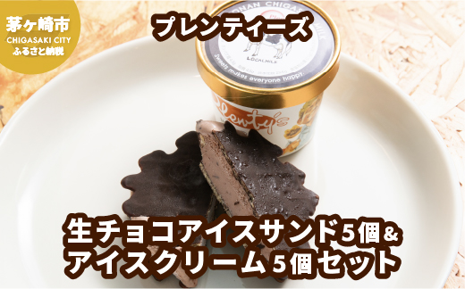 プレンティーズ 生チョコアイスサンド＆アイスクリームセット 各5個 計10個【のし有】