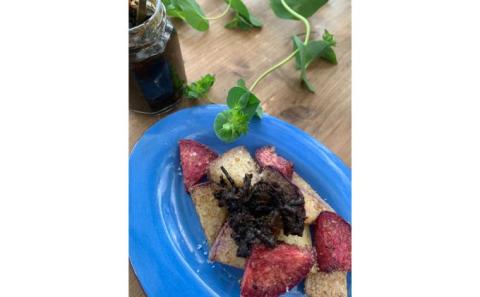 逗子葉山常備菜研究所のごはんのお供 3本セット