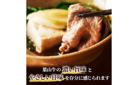 牛肉 冨士屋牛肉店がお届けする 葉山牛 黒毛和牛 しゃぶしゃぶ 500g