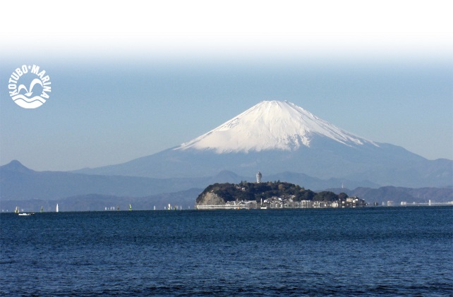 【小坪マリーナ】ボートレンタル・ライセンス・陸置保管料・店内ご利用割引チケットＡ