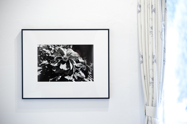 zushi art gallery森山大道写真作品「芍薬の花」（写真集『光と影』1982年より）