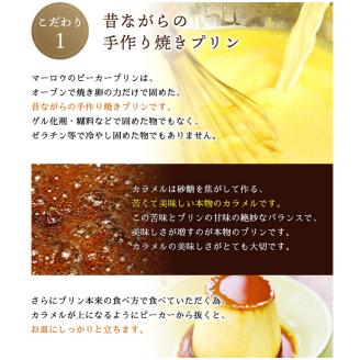 プリン セット マーロウ 逗子限定 北海道フレッシュクリームと人気のプリン 4種 5個セット E217 お菓子 洋菓子 スイーツ デザート おやつ 電車 鉄道　【 菓子 】