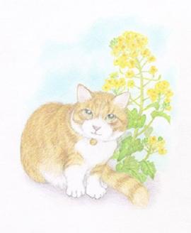 白木フレーム入りねこ版画「おおねこさん」絵本作家おまたたかこジークレー作品