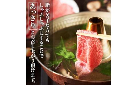 牛肉 冨士屋牛肉店がお届けする 葉山牛 黒毛和牛 しゃぶしゃぶ 500g