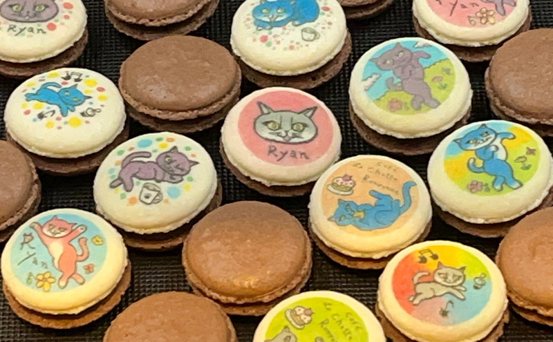 わんぱく 愛猫 ライアン かわいい 美味しい マカロン