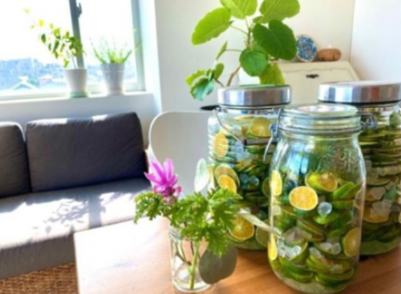  神奈川SDG's　青ミカンROCKビタースカッシュ　６本セット