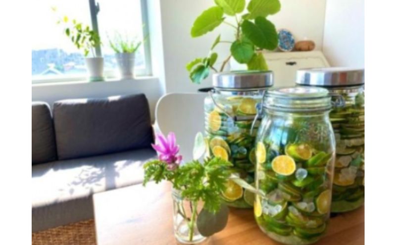 神奈川SDG's 青ミカンROCKビタースカッシュ3本＆青ミカンハーブティセット みかん 青ミカン ミカン スカッシュ ハーブティ セット ジュース ハチミツ漬け ビター SDG's 逗子市 神奈川県