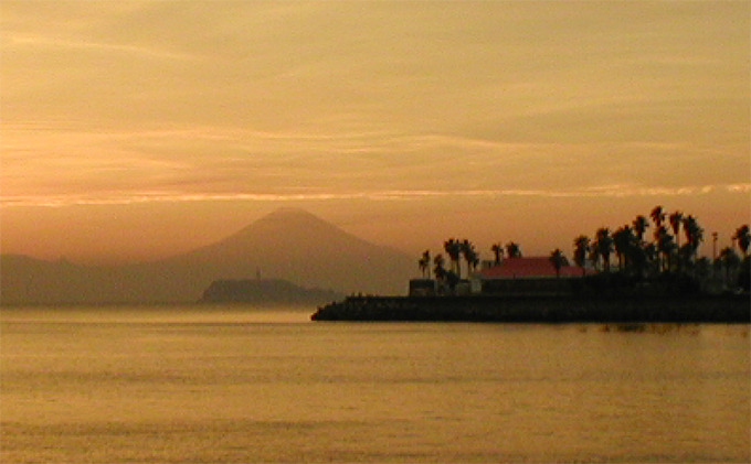 【小坪マリーナ】ボートレンタル・ライセンス・陸置保管料・店内ご利用割引チケットＡ